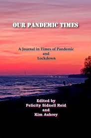 Our Pandemic Times